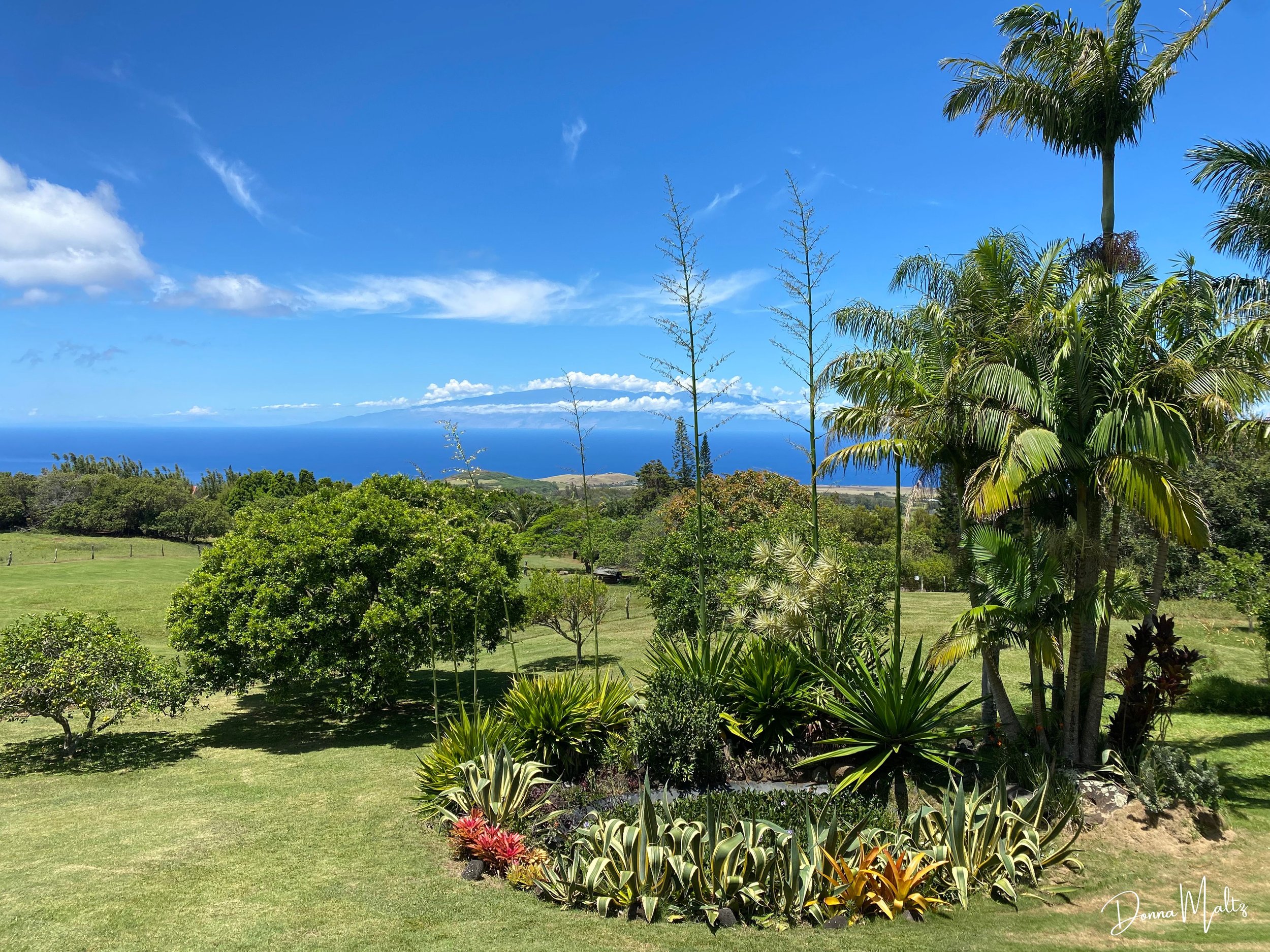 View of Maui.jpg