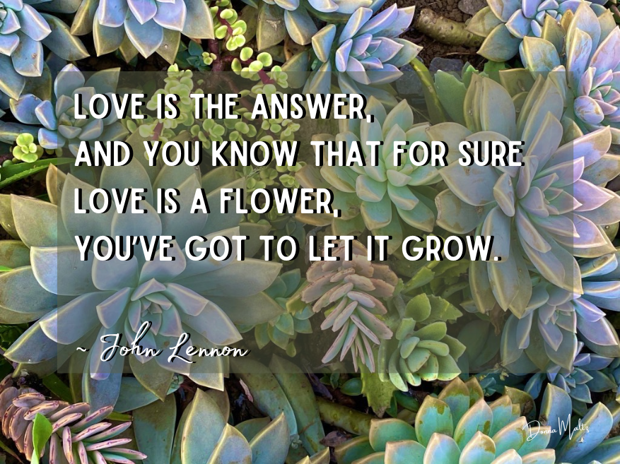 Embracing the Holiday Season: A Celebration of Love, Light, and Positivity