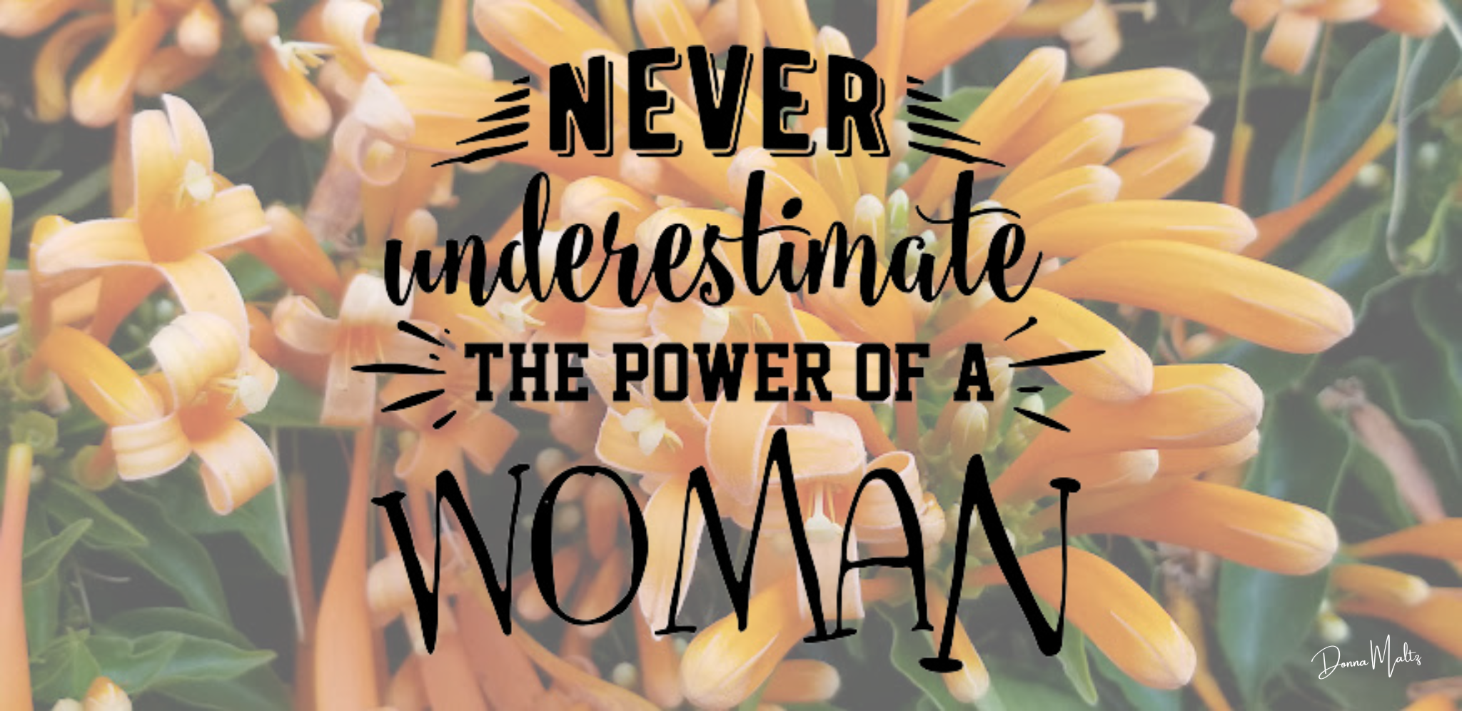 Honoring Women's Legacies