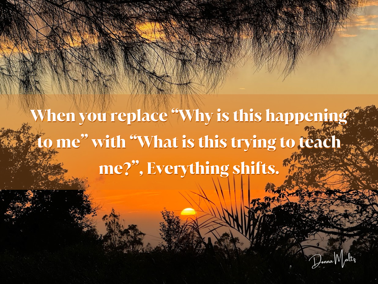 Embracing Activism: A Journey to Inner and Outer Peace