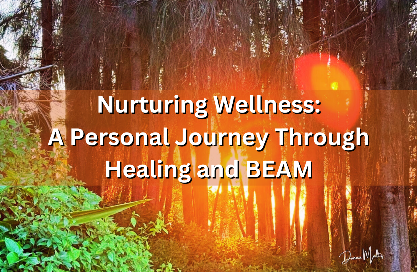 Nurturing Wellness: A Personal Journey Through Healing and BEAM