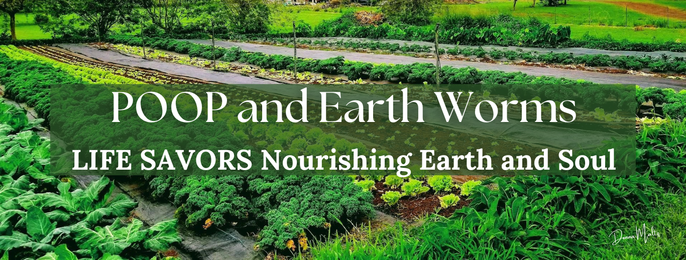 Soil Health and the Transformative Process of Composting