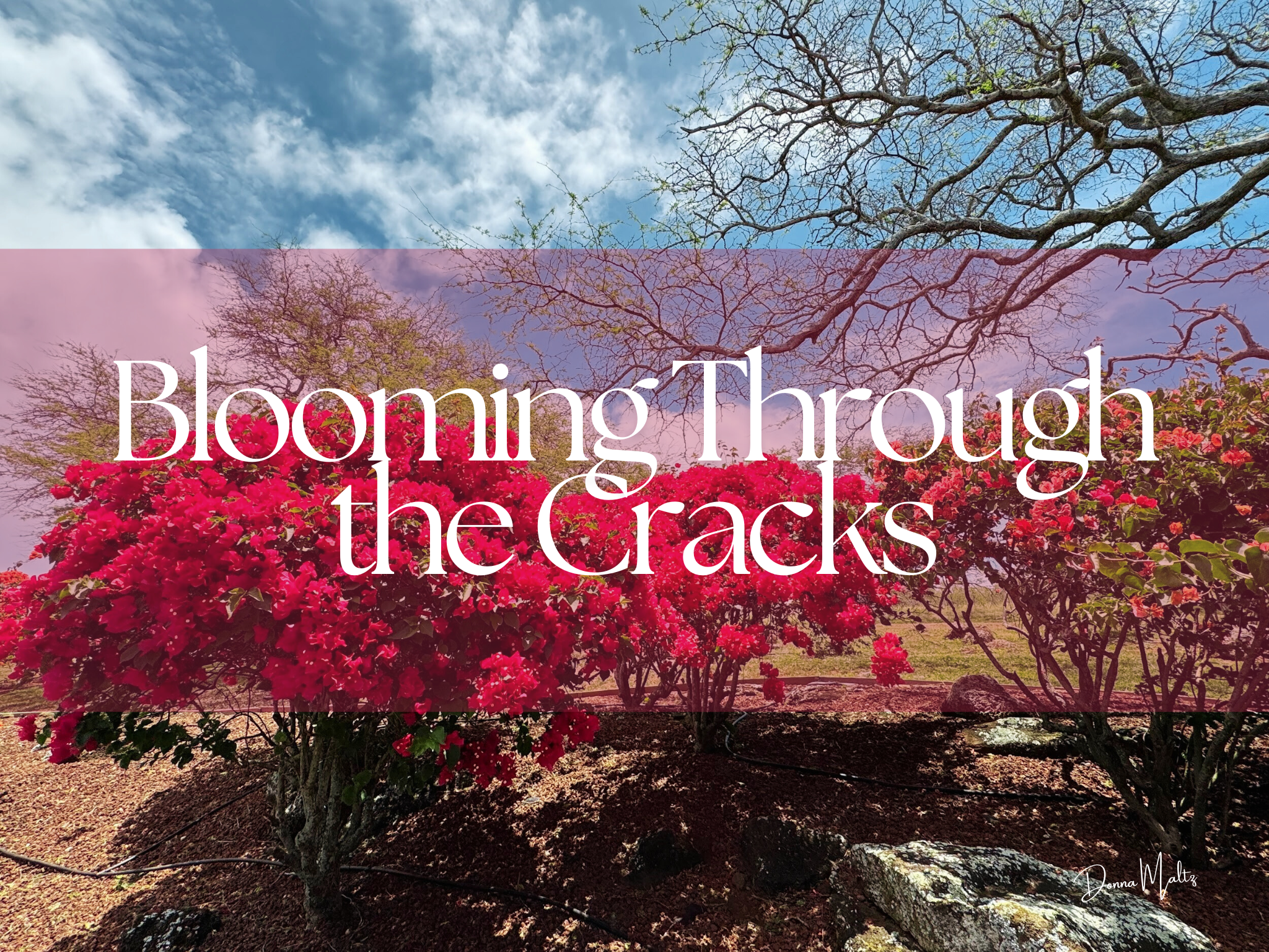 Finding New Opportunities to Overcome Obstacles