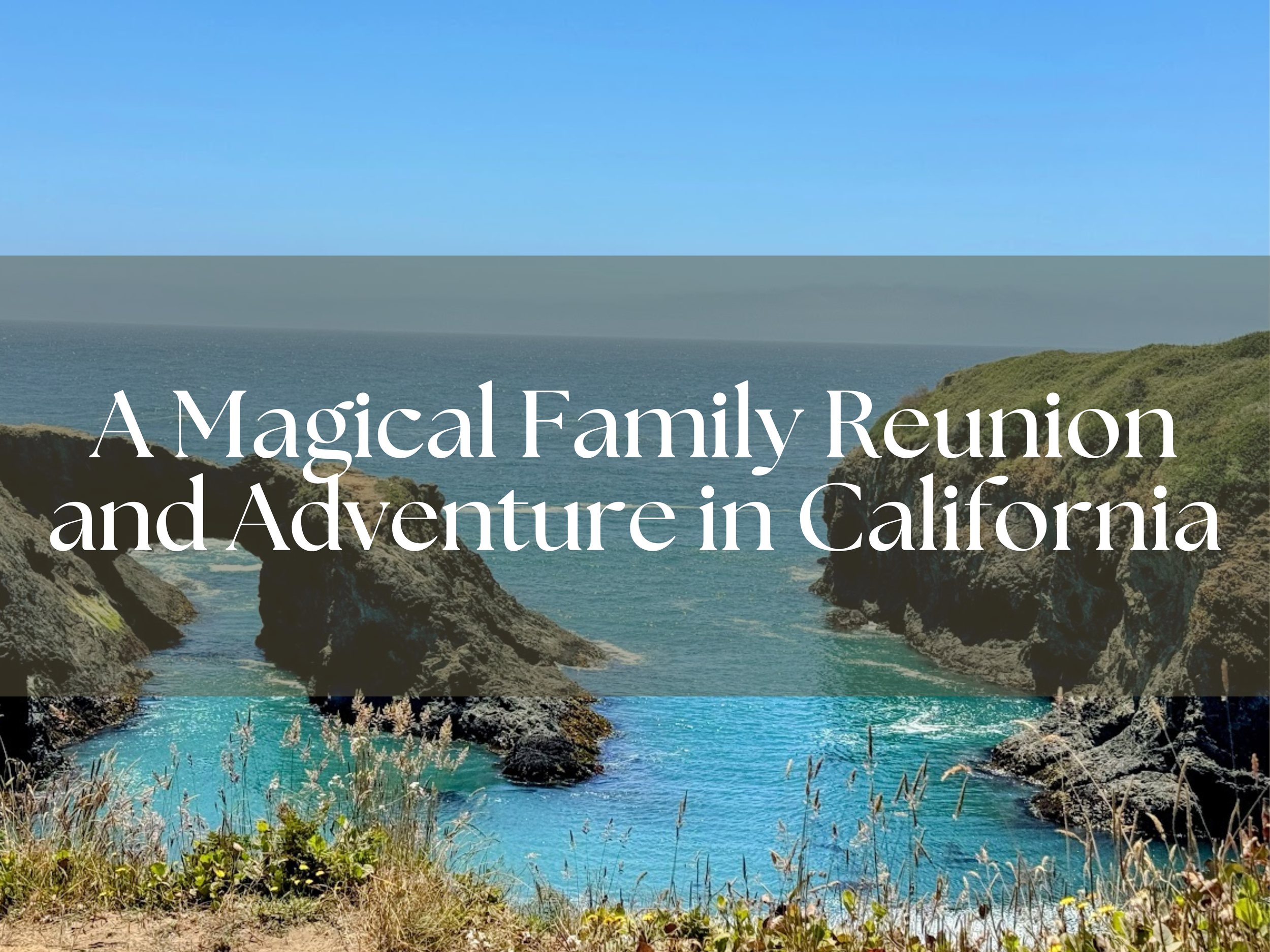 ✨A Magical Family Reunion and Adventure in California✨