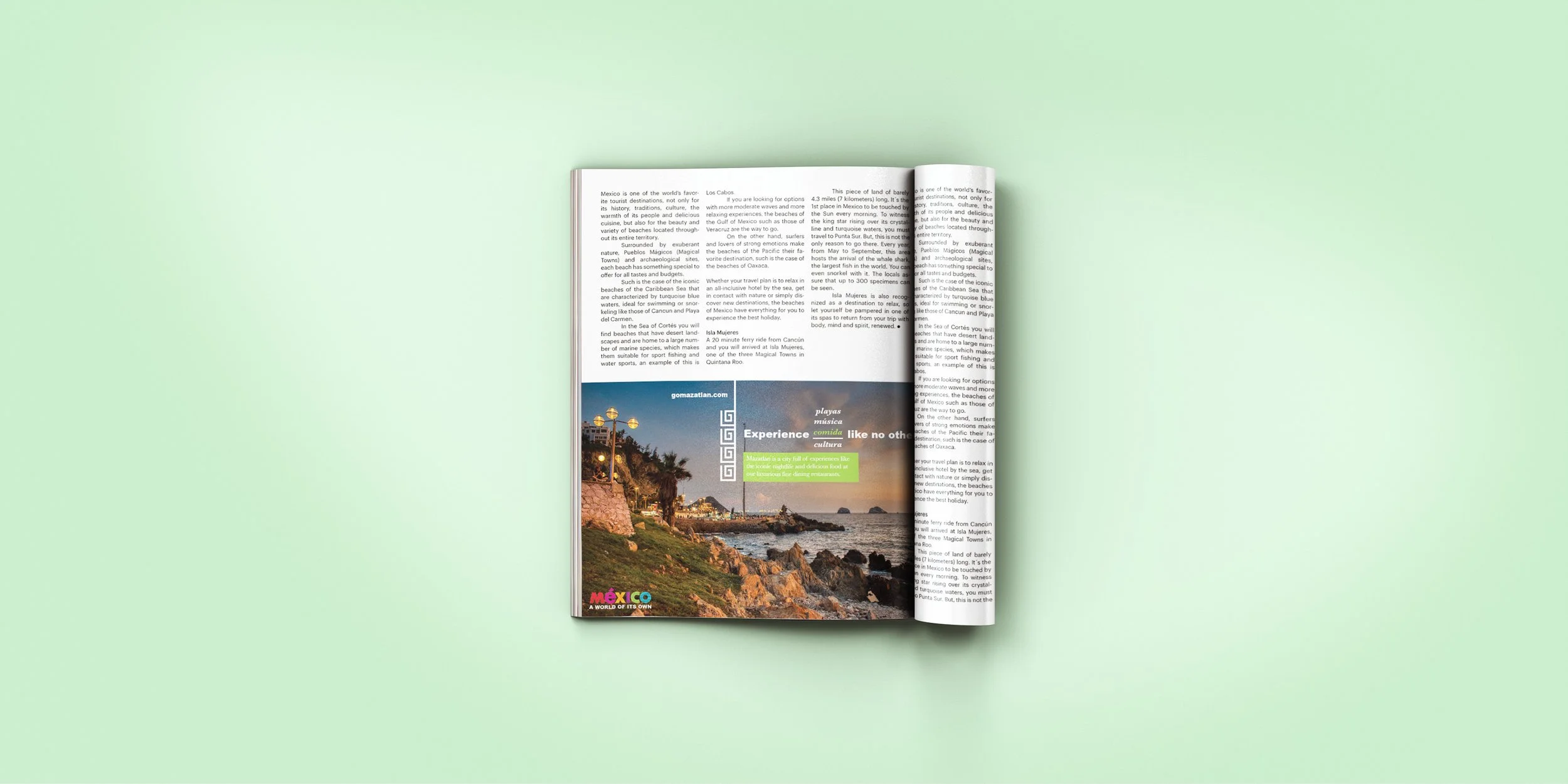 visit-mexico-half-page-ad.jpg