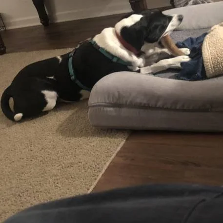 Mia+Piyush.jpg