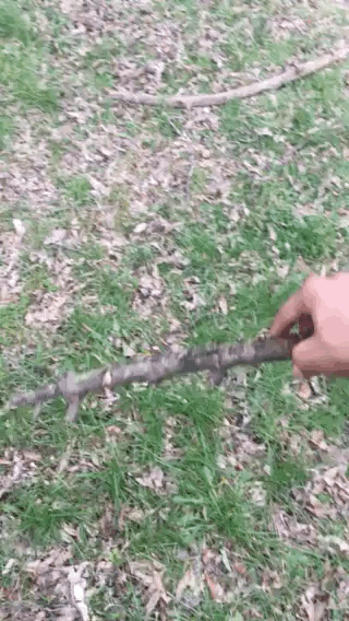 3.gif