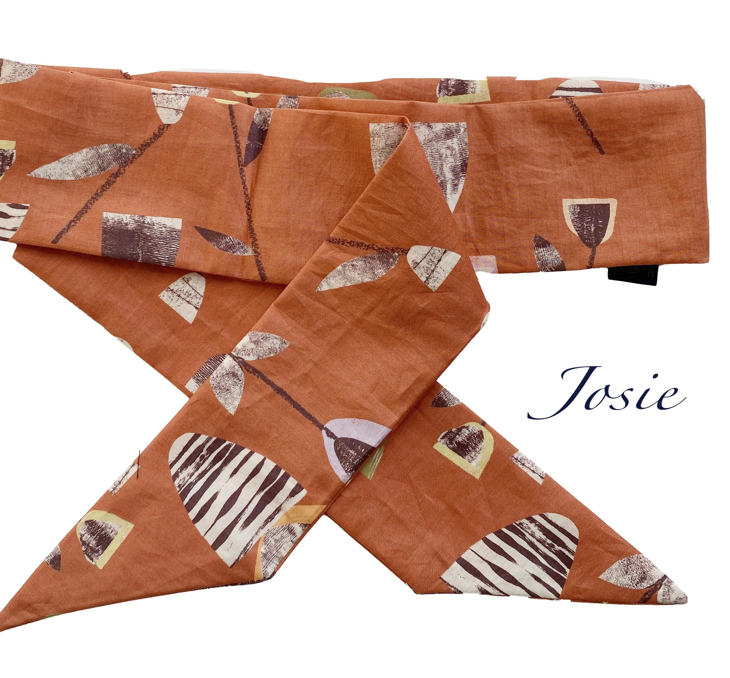 Josie orange.jpg