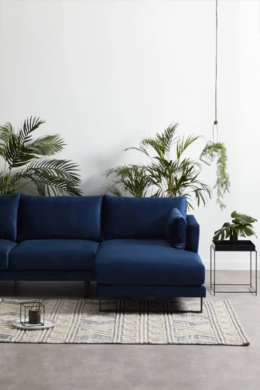 Deep blue sofa with cushions beside indoor plants in a pale living room.