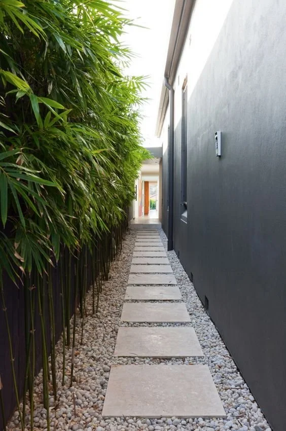 Stepping-stone path between a planted green wall and dark external cladding.