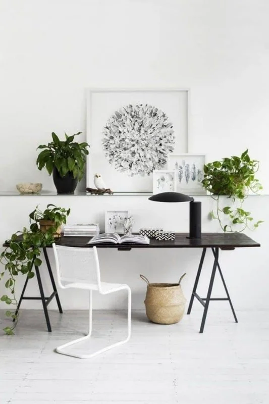 Pale home-office desk with plants and framed art against a white wall.