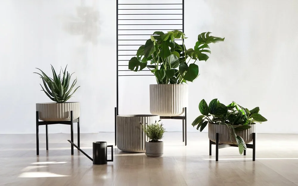 Indoor plants in ribbed planters on varied metal stands.