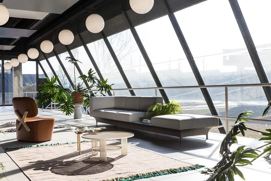 Bright living room with angled glazing, long seating and leafy plants.