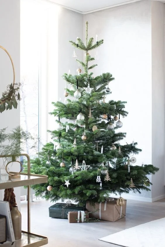 Simple Christmas tree in a woven basket within a light room.