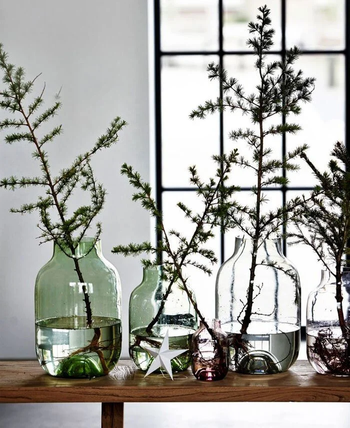 Leafy branches arranged in green and clear glass vessels beside a window.