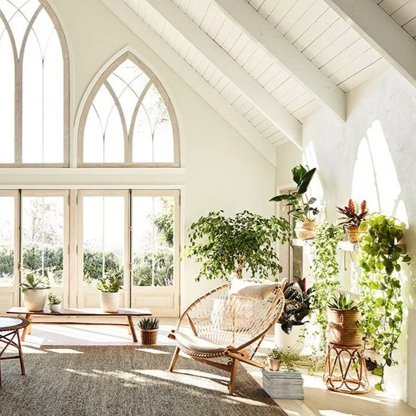 Light-filled room with pointed arched windows, plants and woven seating.