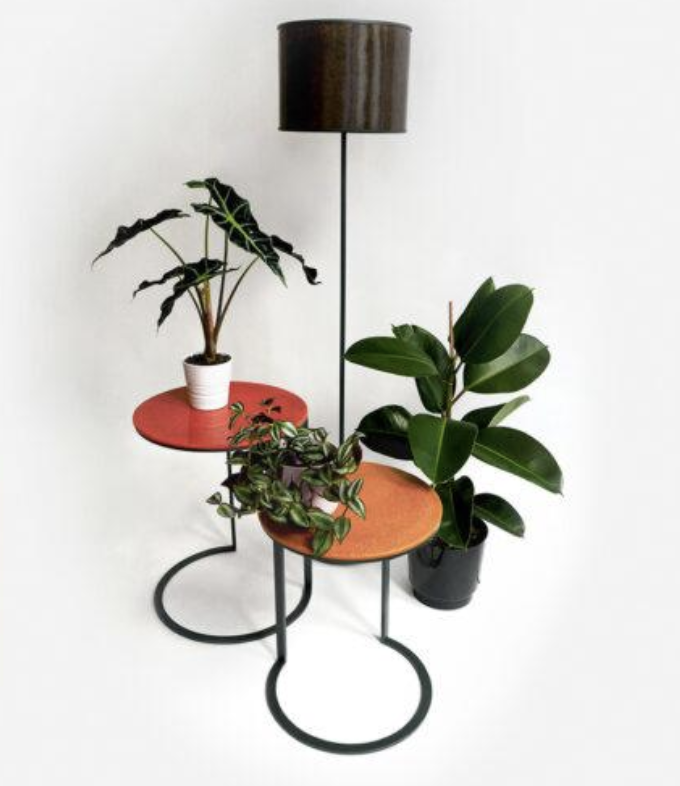Houseplants on a black metal stand with colourful circular shelves.