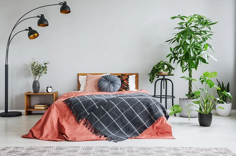 Rust-coloured bed linen and a dark patterned throw beside indoor plants and an arched floor lamp.
