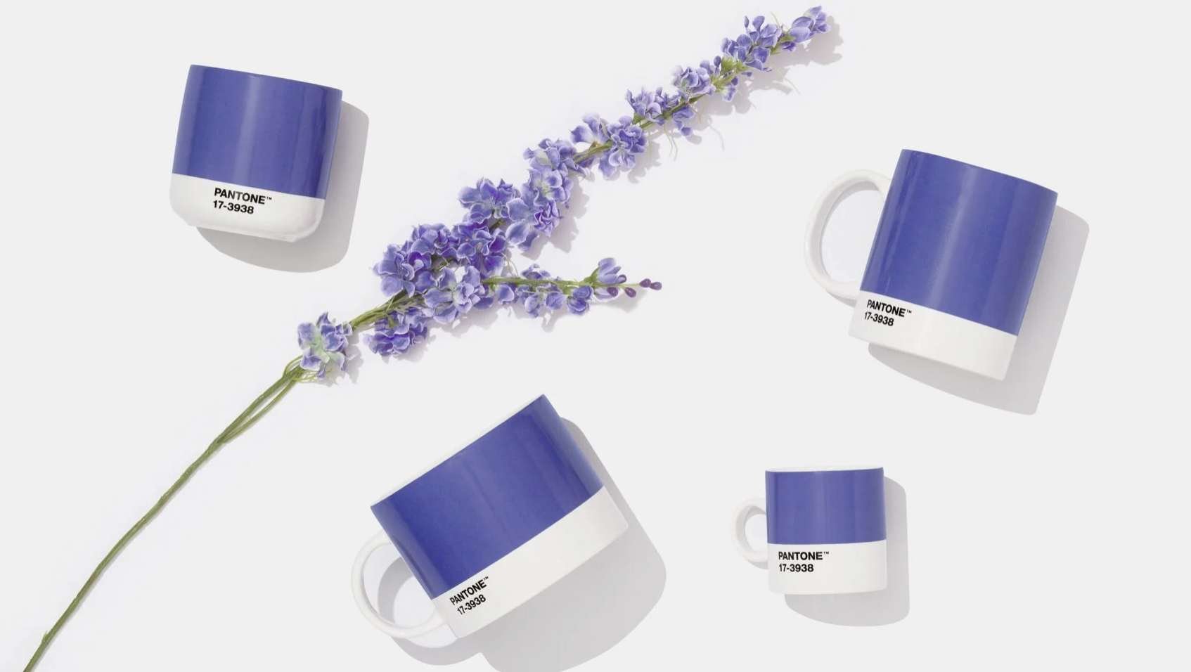 Very Peri blue-violet Pantone cups beside a flowering stem.