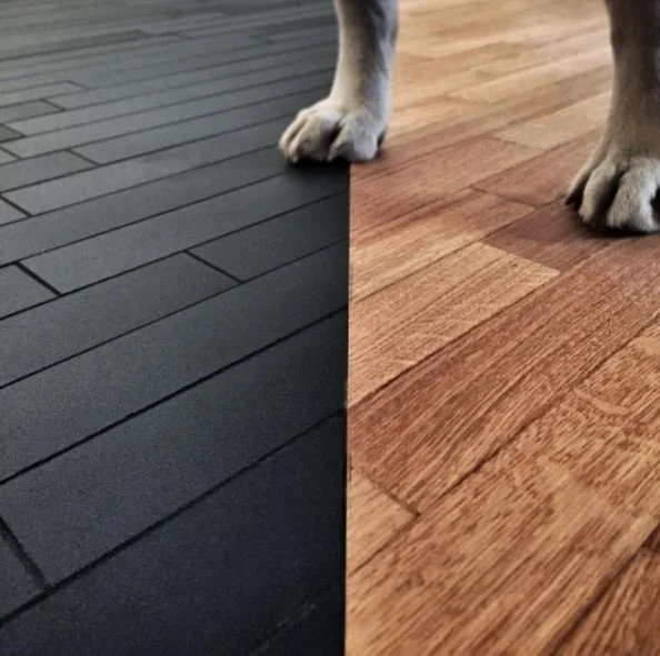 Close-up of a dog’s paws across dark-painted and natural timber floorboards.