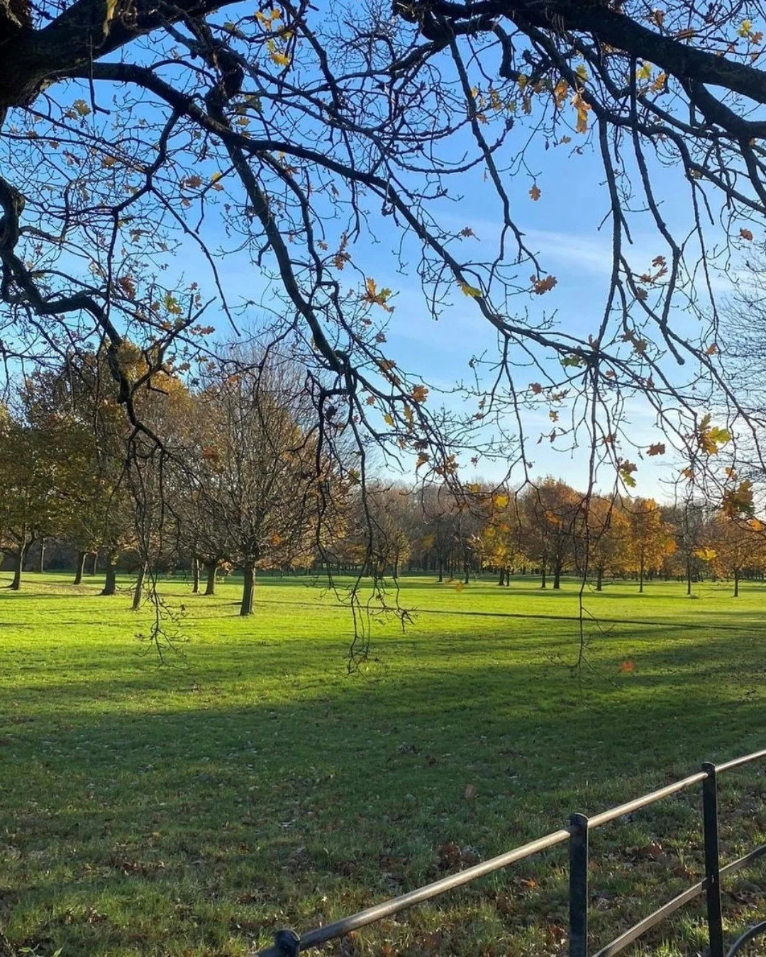 These views are made for walking, and that's just what we'll do... 🍁

Explore Rudding Park, Harrogate and beyond at ruddingholidaypark.co.uk/out-about

📸 nyorksmotorhome

#RuddingHolidayPark #exploring #adventure #holidayhome