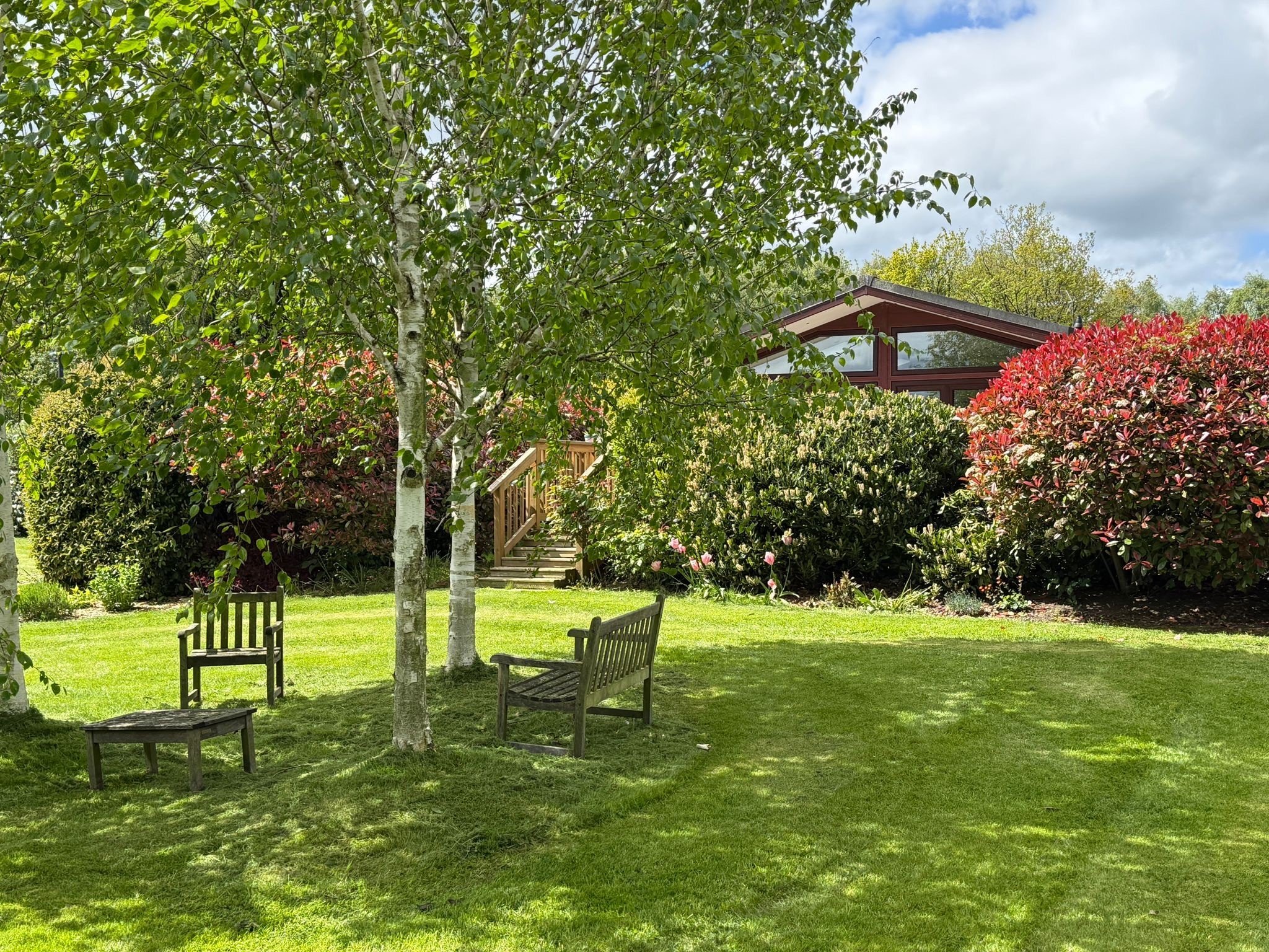 garden.jpg