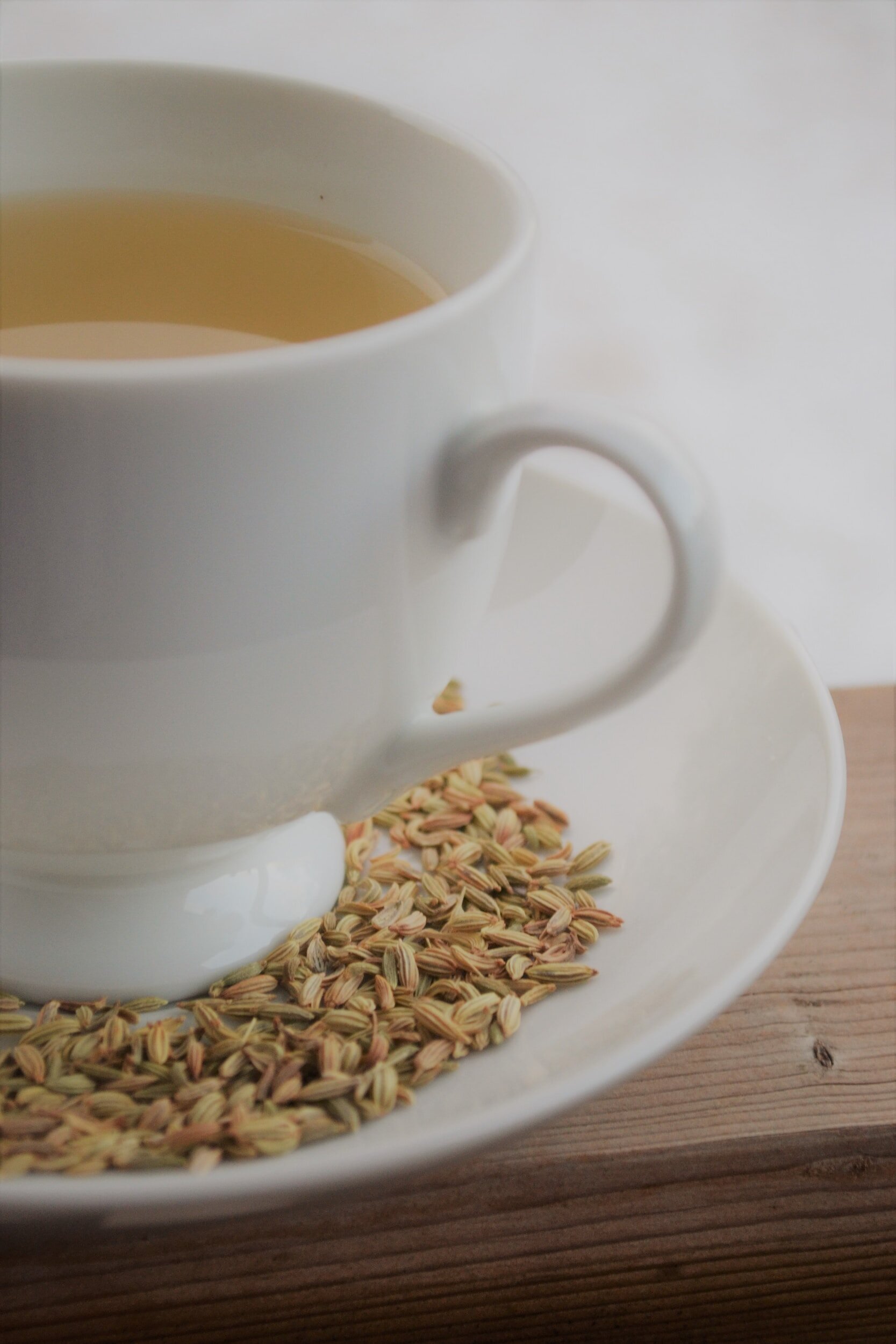 Spice of the week - Fennel🌿
