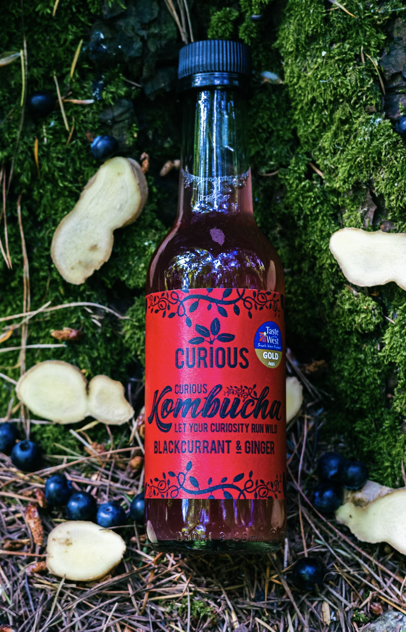Blackcurrant & Ginger Kombucha - 250ml