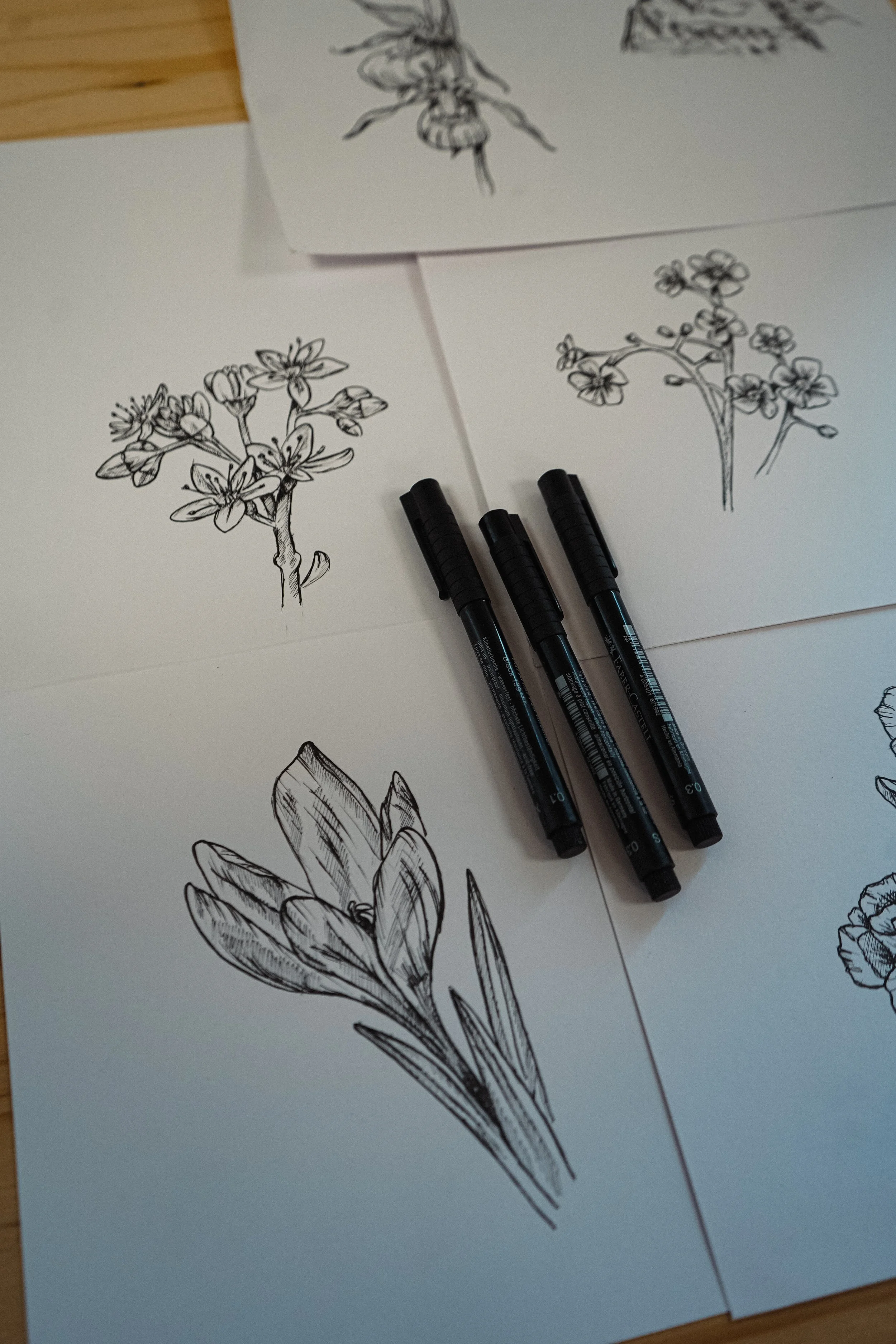 Atelier dessin fleurs de montagne
