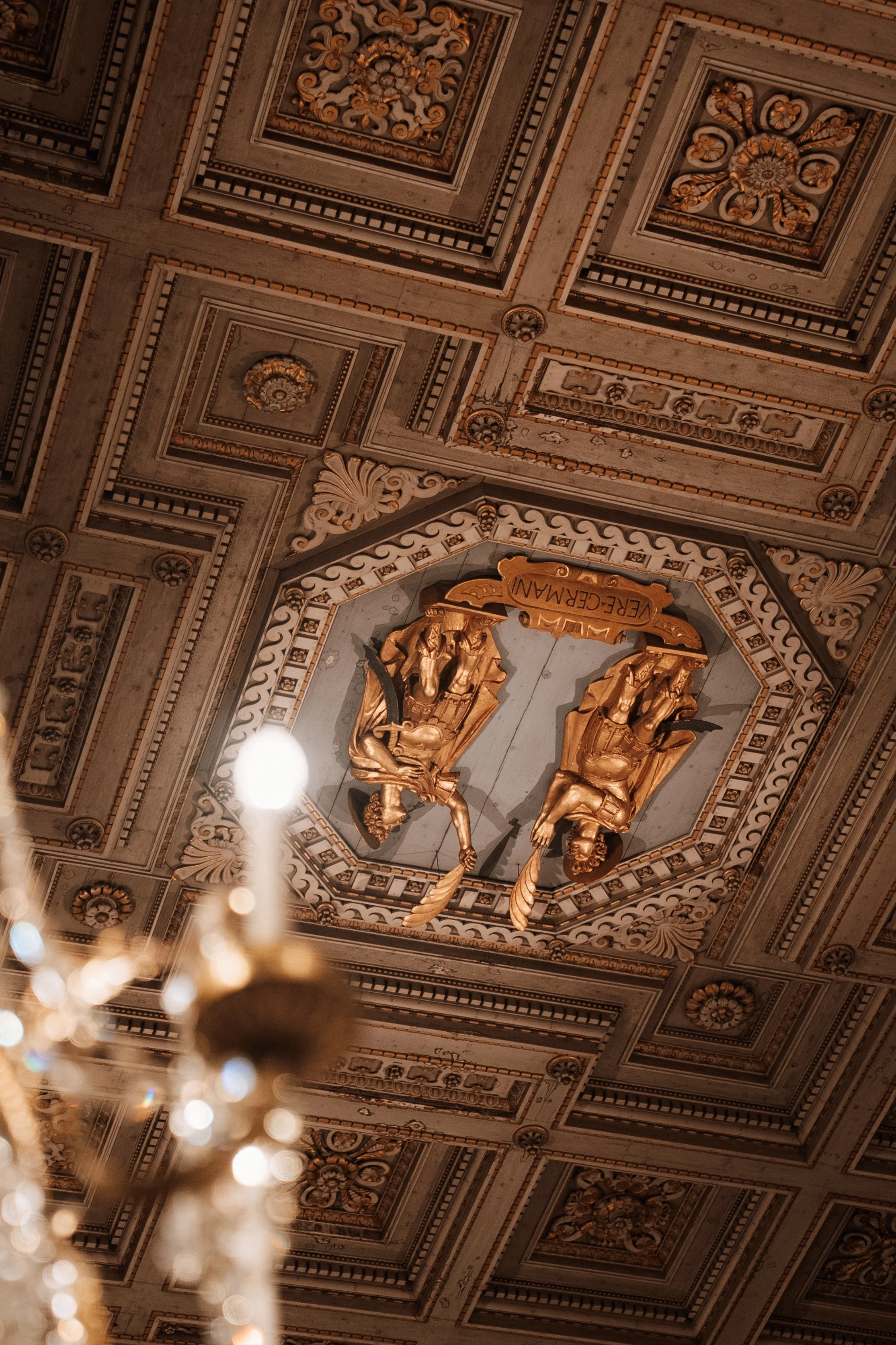 DSC03380.jpg