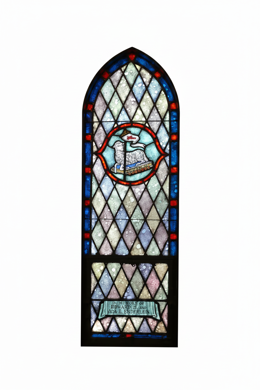 0 (16).png