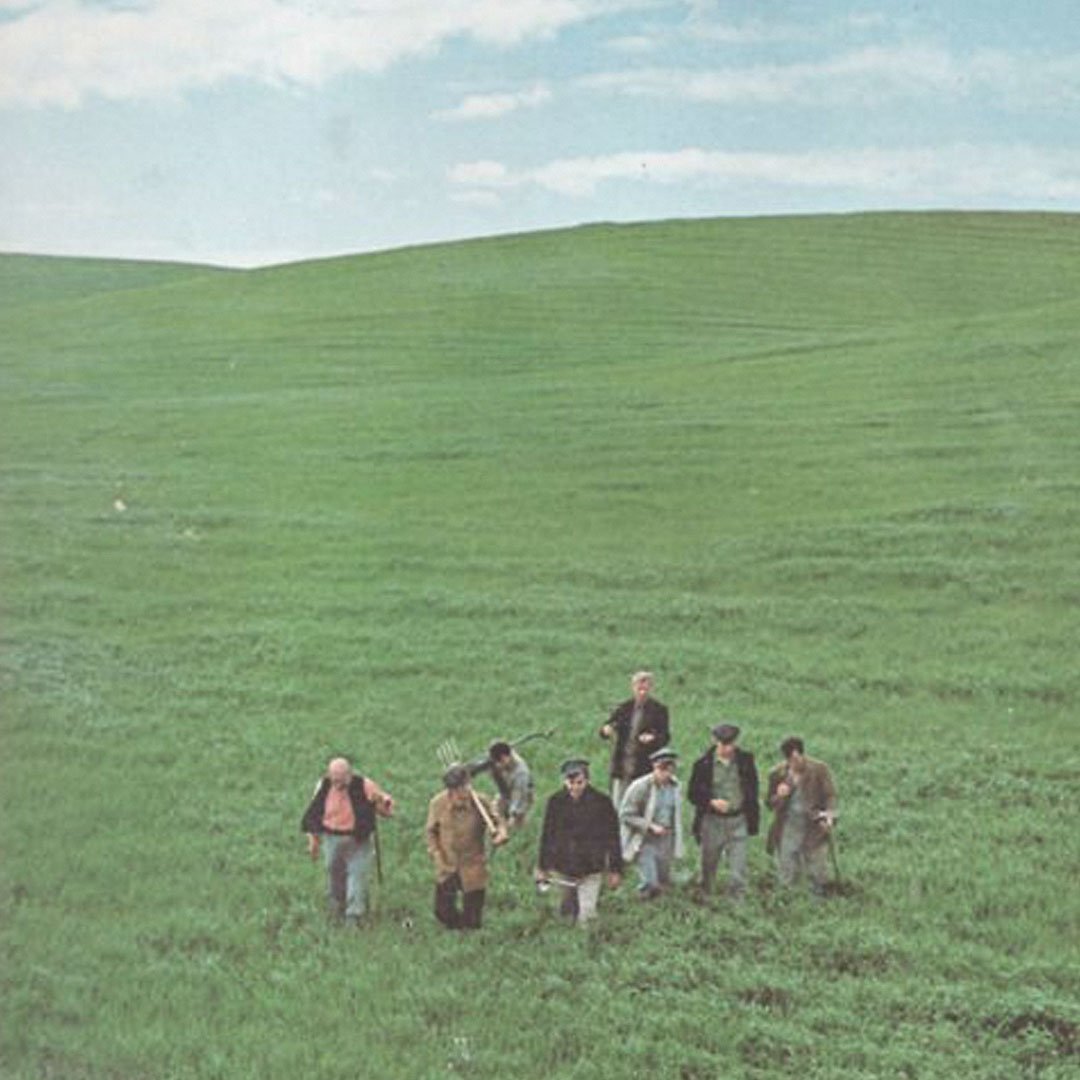 WildSoil10.jpg