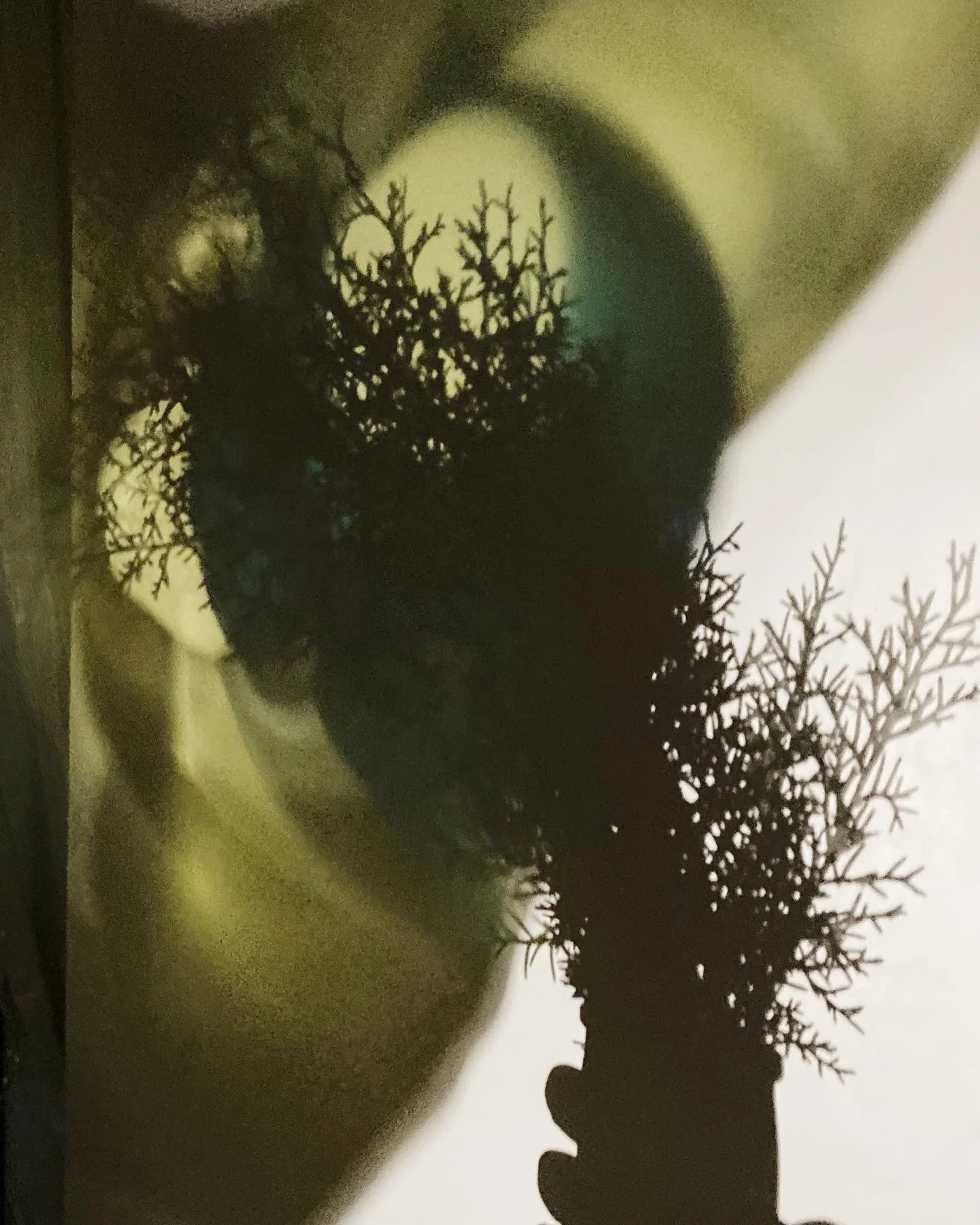 8541689F-2F21-4ED5-8DF6-01D13D809176 (1).JPG