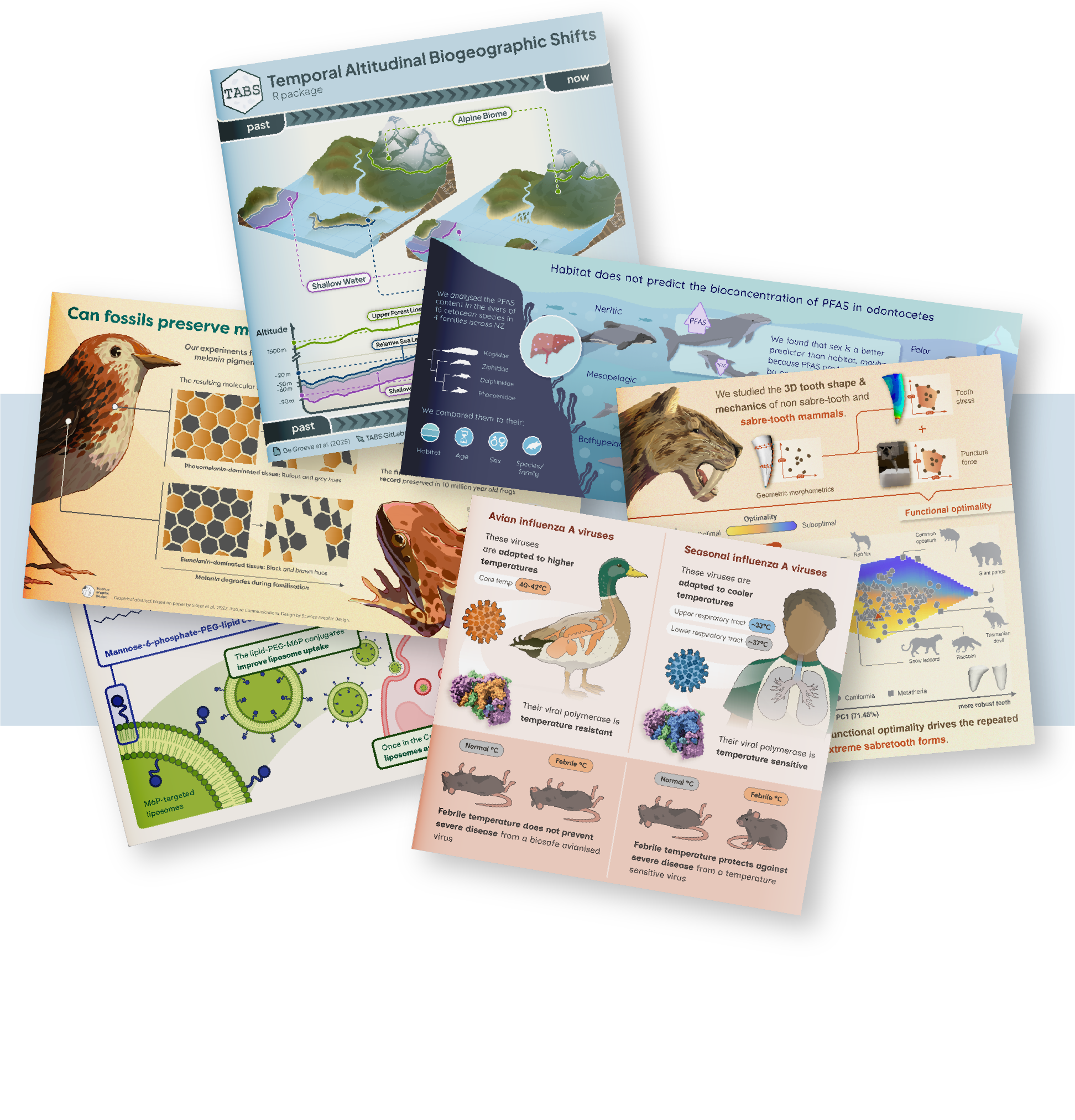 A collage of scientific infographic posters and charts related to biology, ecology, and evolution, including topics like fossil preservation, biogeographic shifts, and viruses in animals.