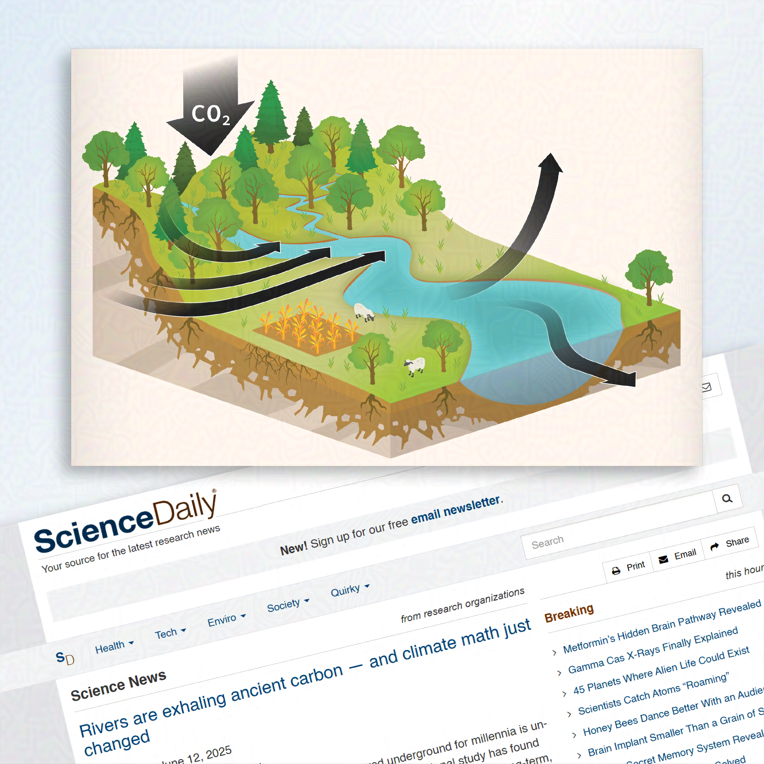 An illustration showing carbon cycling from the environment to the atmosphere through waterways. 
