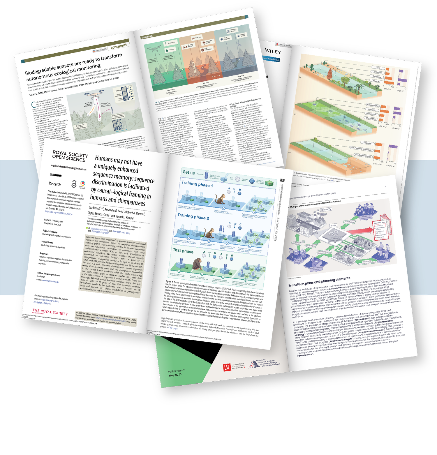 Science Graphic Design | Create Impactful Scientific Visuals Today
