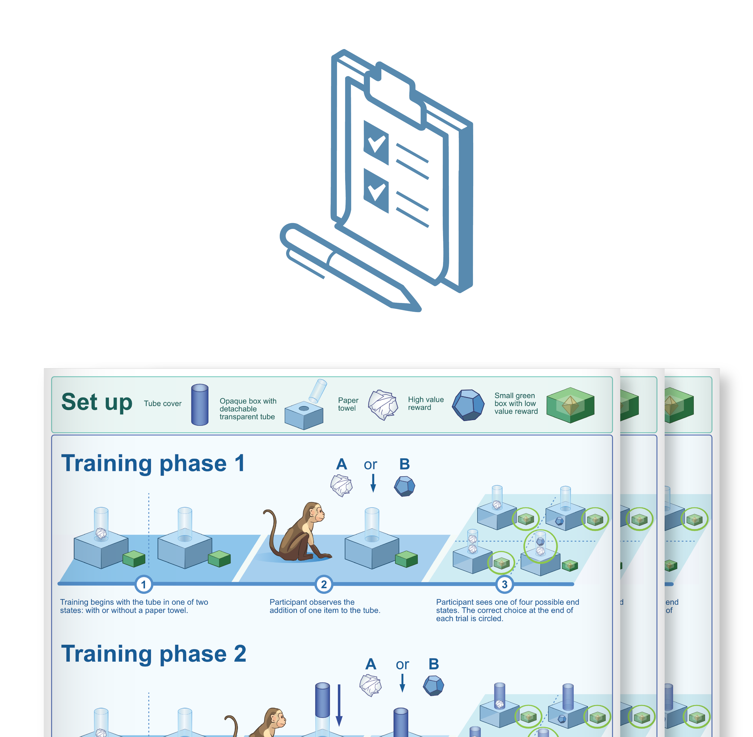 Multiple exports of a stylised methods figure, displaying diagrams and steps for training, with illustrations of boxes, a tube, a monkey, and reward icons.