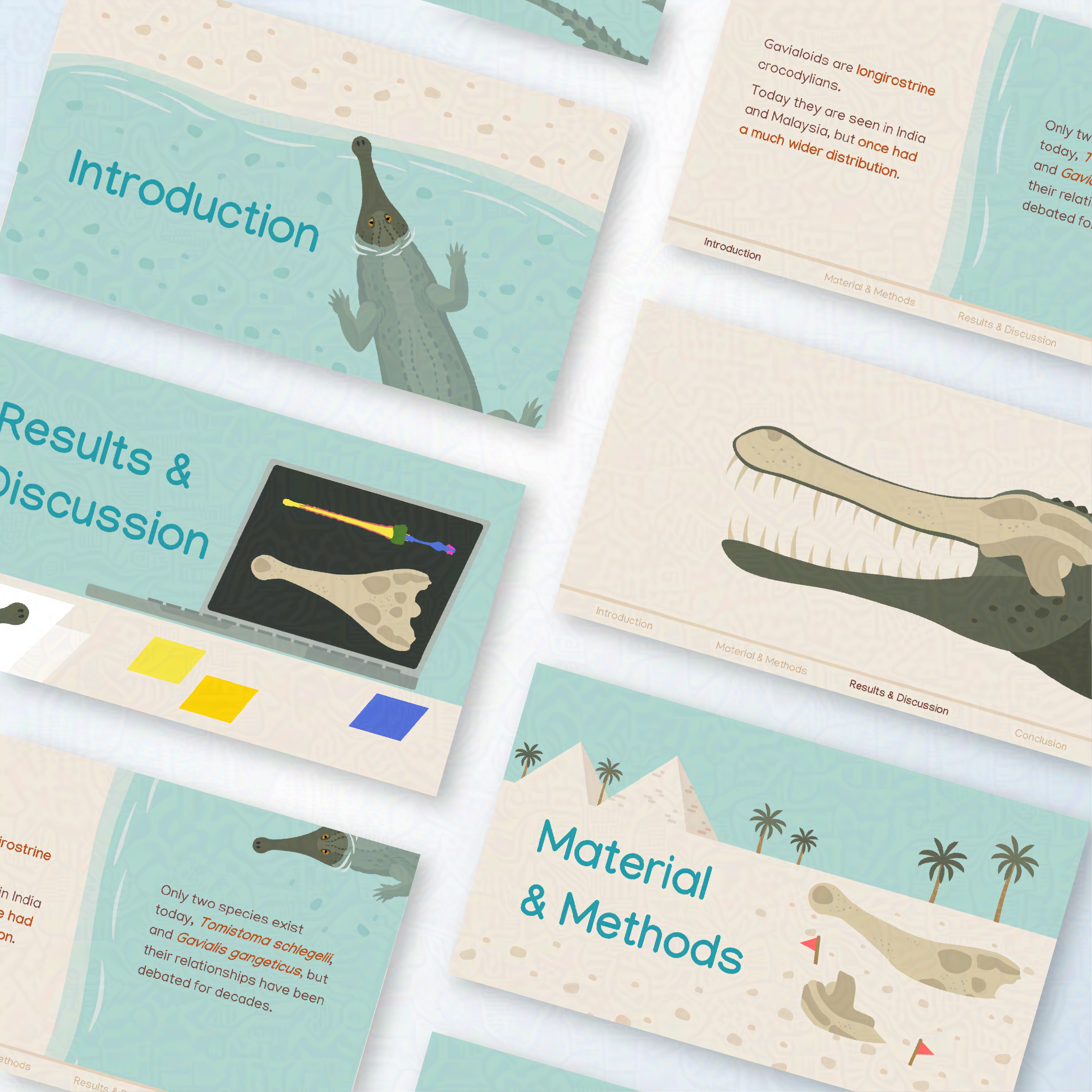 Powerpoint slides made for Dr Paul Burke (UCL) with a sandy/aquatic theme showing various illustrations of fossil crocodilians. 