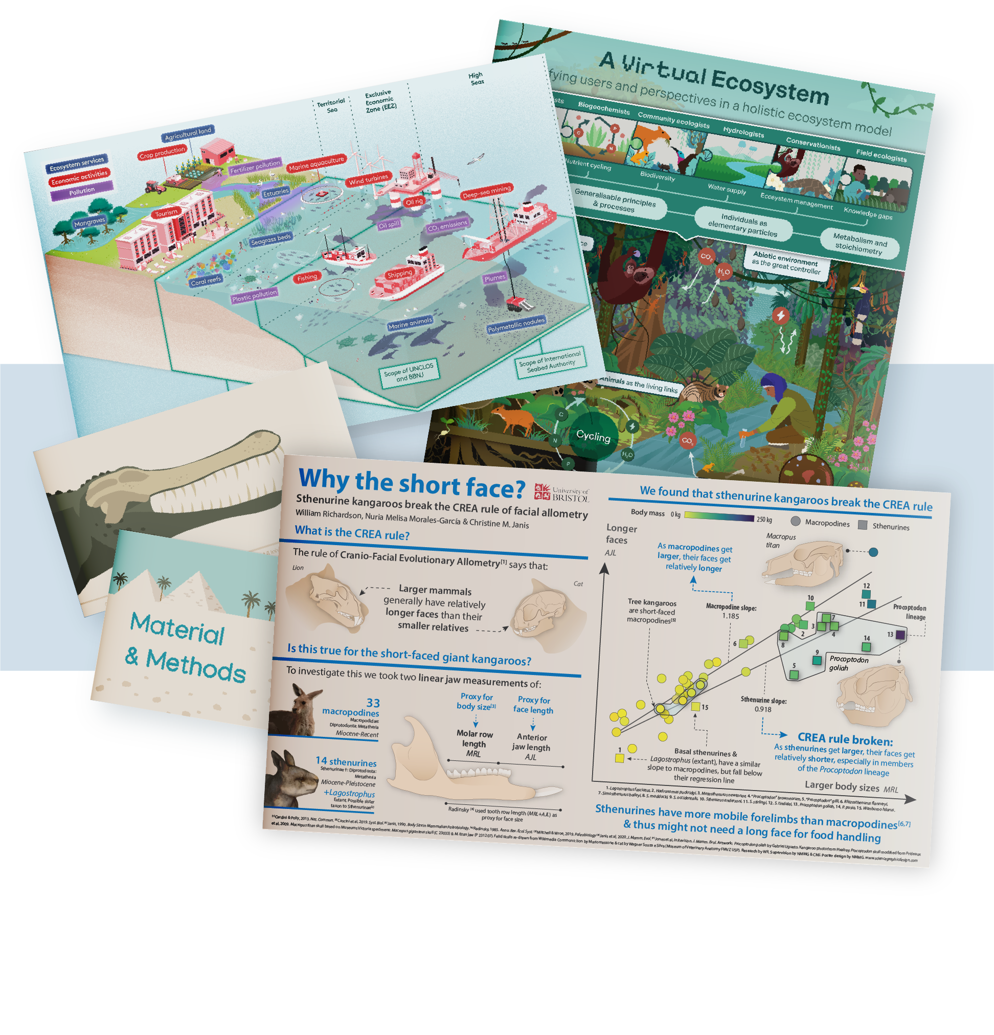 Collection of infographic posters about ecosystems, biodiversity, climate change, and environmental science.