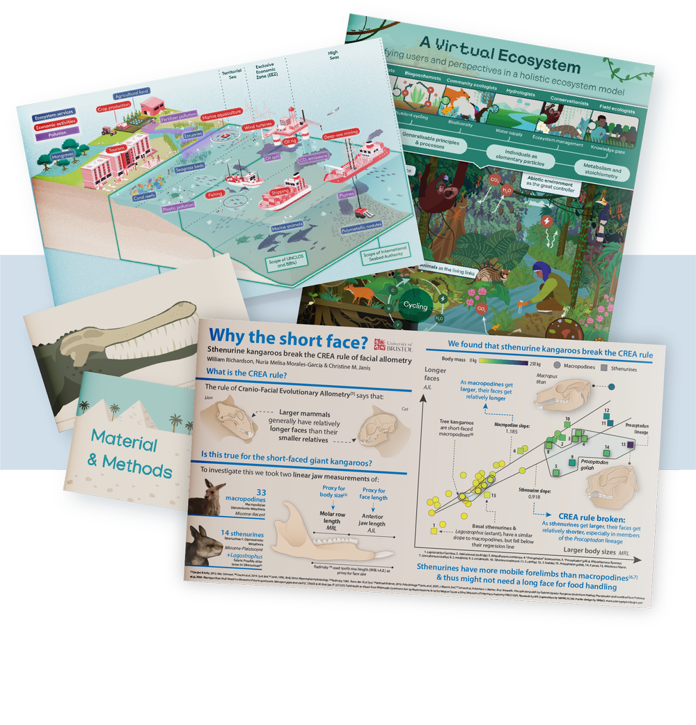 Science Graphic Design | Create Impactful Scientific Visuals Today