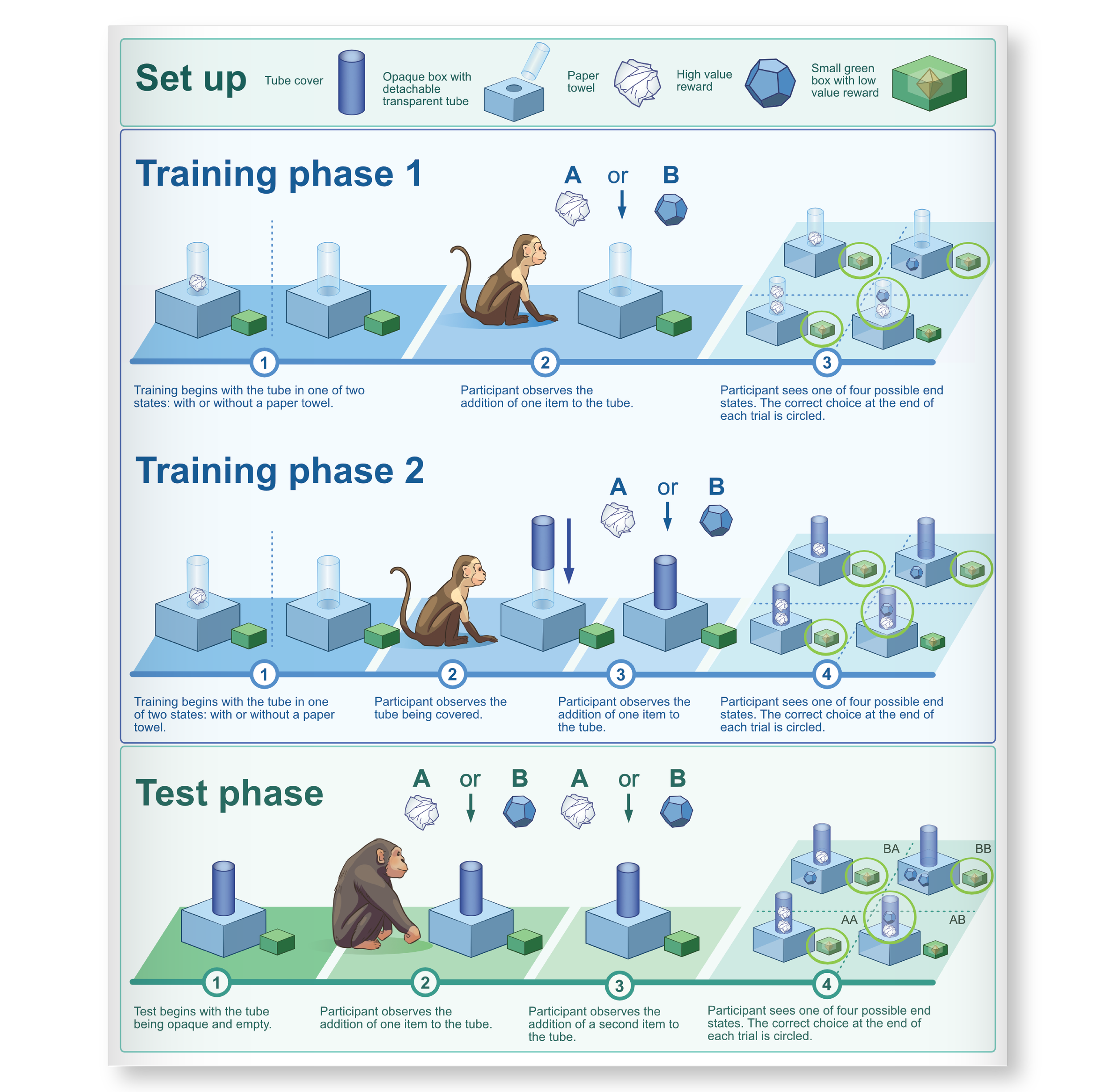Stylised methods figure, displaying diagrams and steps for training, with illustrations of boxes, a tube, a monkey, and reward icons.