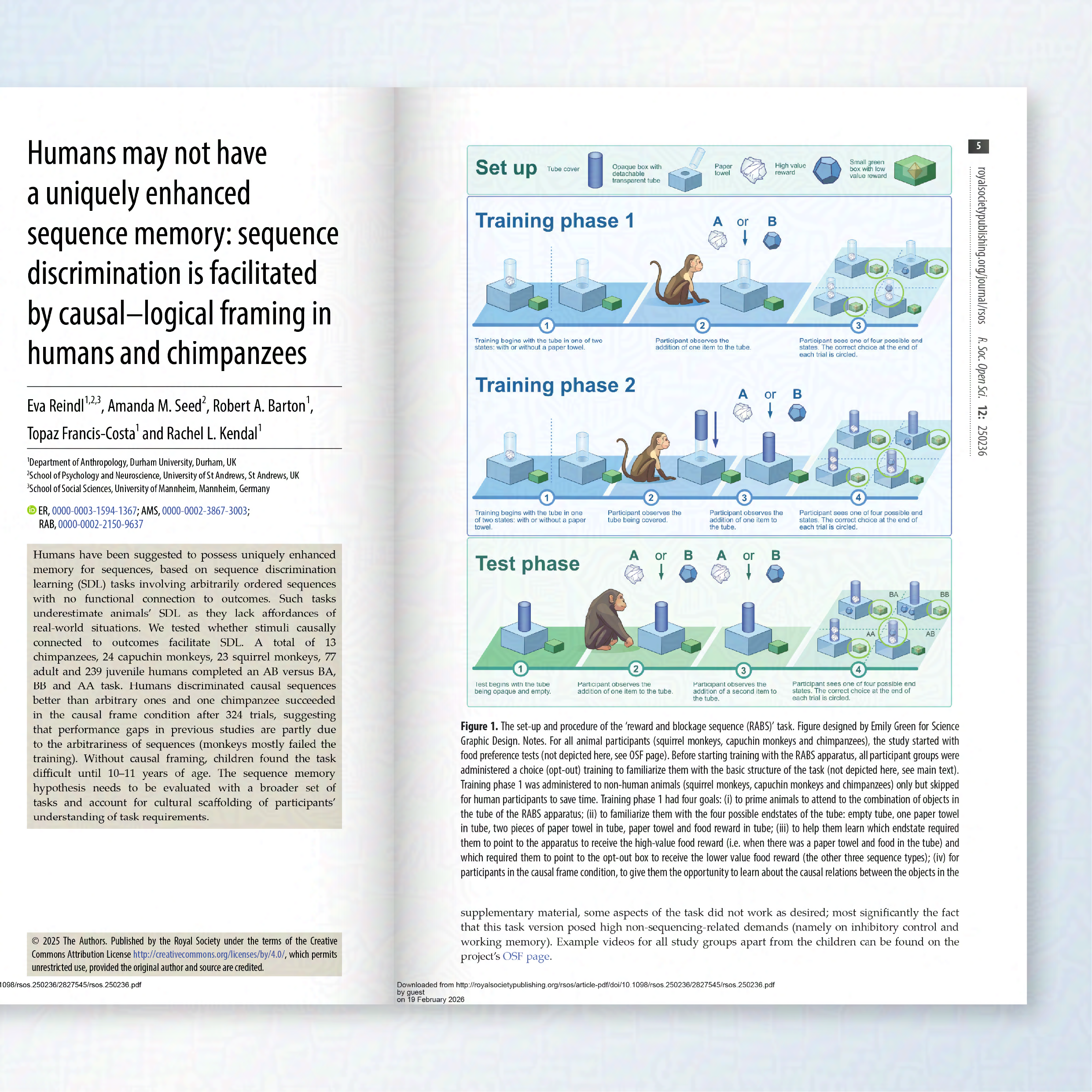 Paper figure showing methodology for a primate memory study. It is broken into three sections: equipment, training phase 1 and training phase 2. In each training phase a monkey must choose between a low value reward box and a box which has either a p