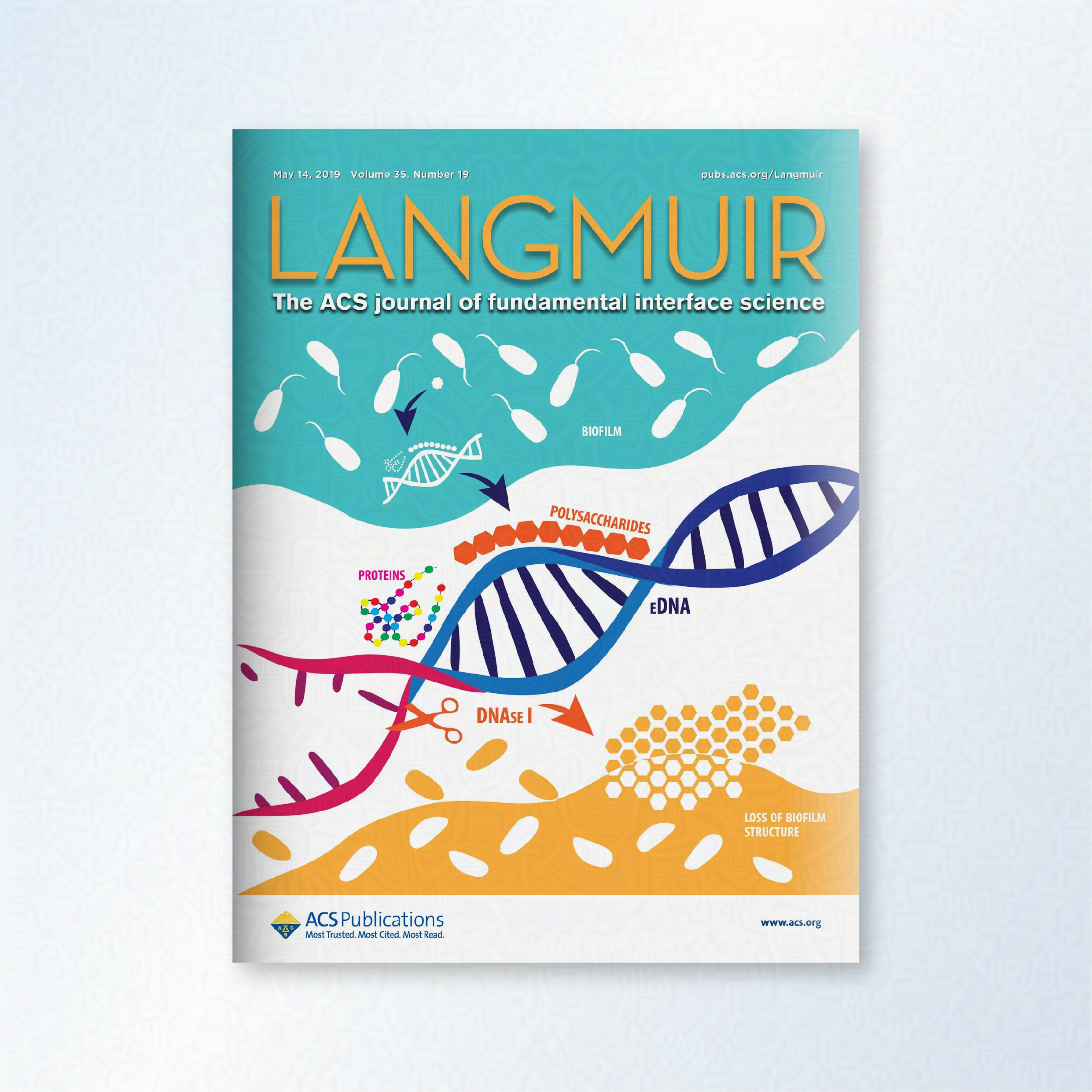 LANGMUIR cover. A brightly coloured DNA strand is shown unzipping and being snipped with scissors to represent enzymes. Arrows indicate how the biofilm is lost during this process. 
