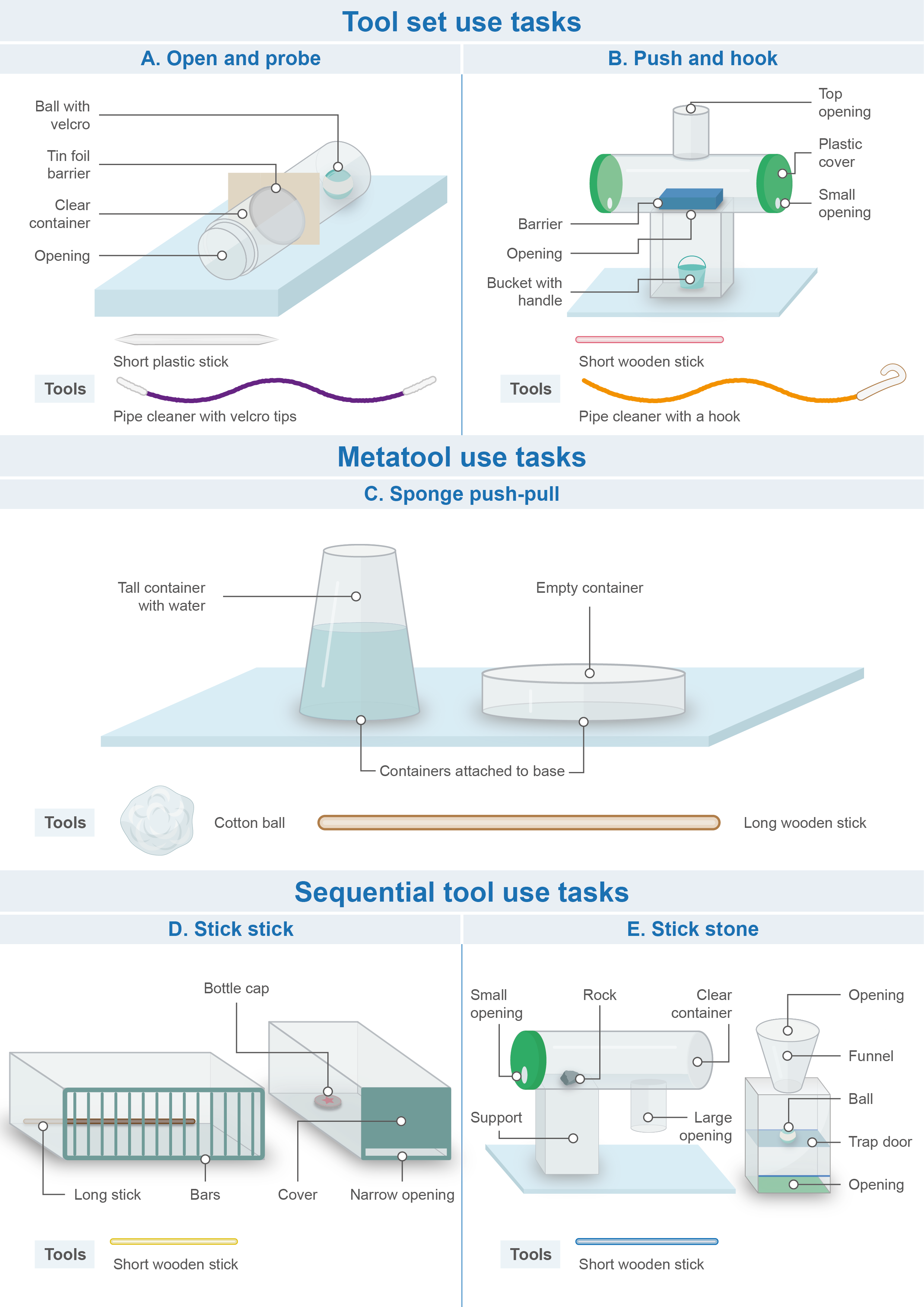Figure from Reindl et al., 2022. Evolutionary Human Sciences. It shows a number of experiments on tool-use in children.