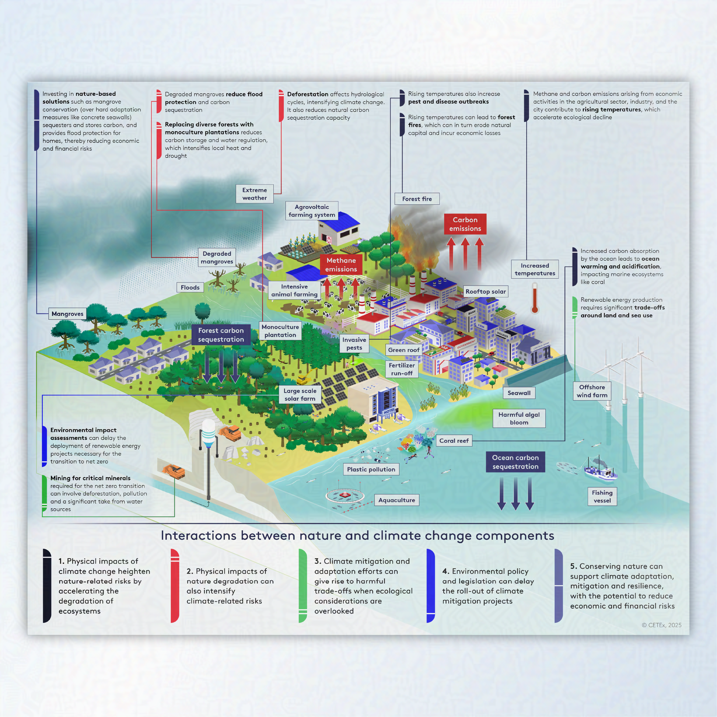 A landscape infographic showing the risks of climate change and the resulting impact of ecosystem degradation. The landscape shows a mixture of land based factors like forest fires and intensive animal farming, as well as aquatic factors like plastic