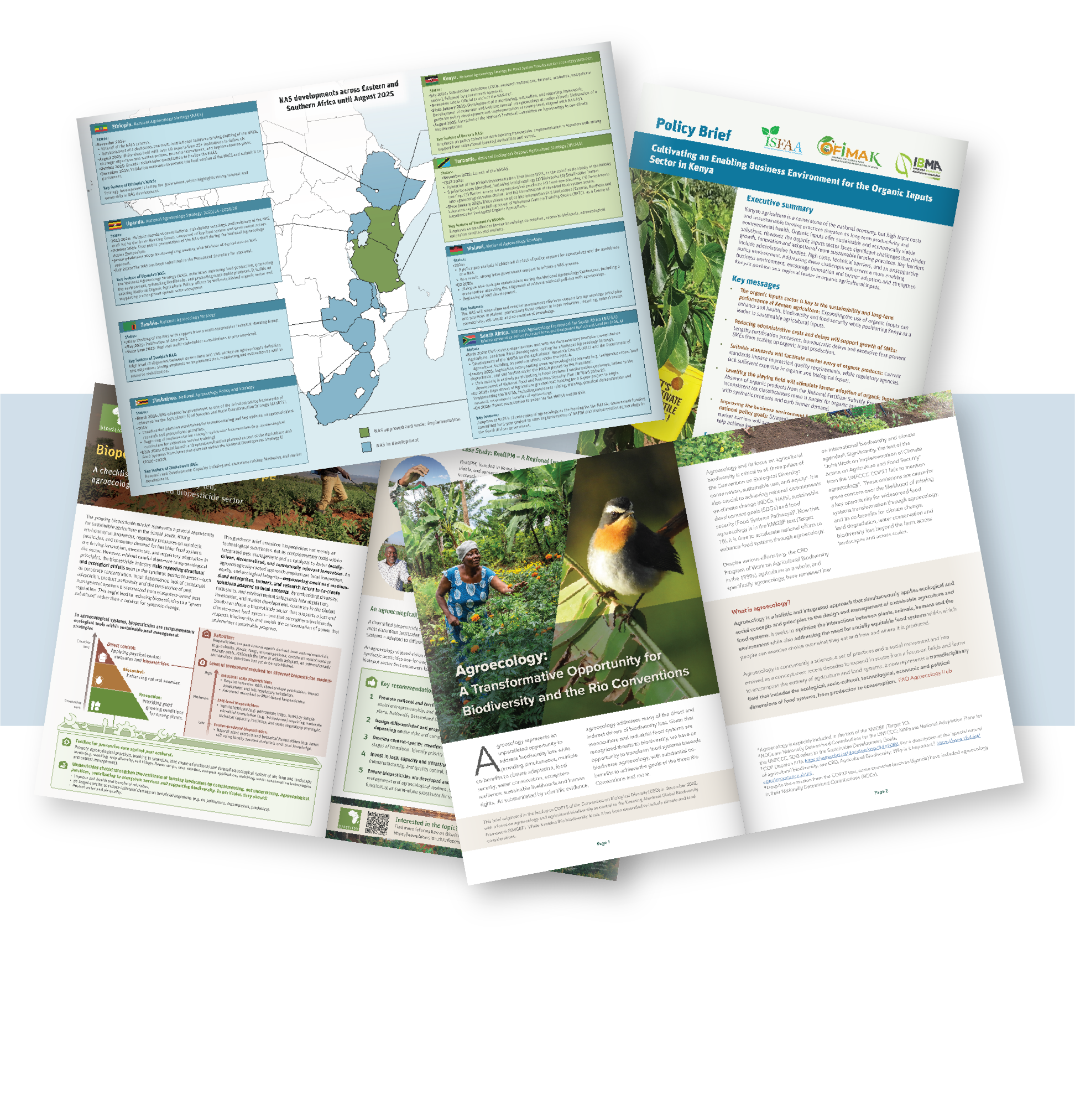 Collage of various reports and report spreads that we have designed, namely for Bioprotect