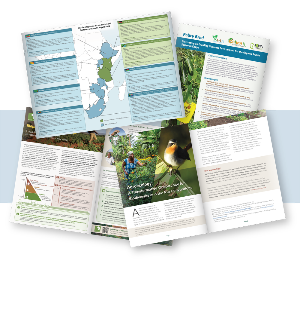 Science Revition Layout Science Graphic Design | Create Impactful Scientific Visuals Today