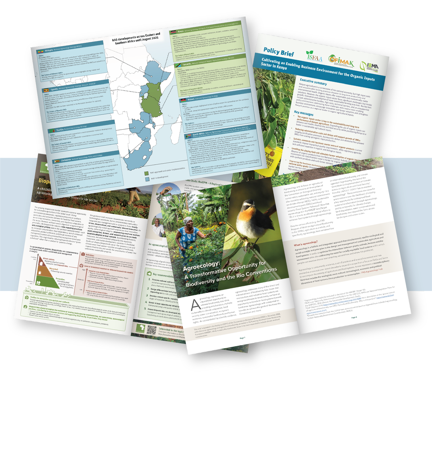 Science Graphic Design | Create Impactful Scientific Visuals Today