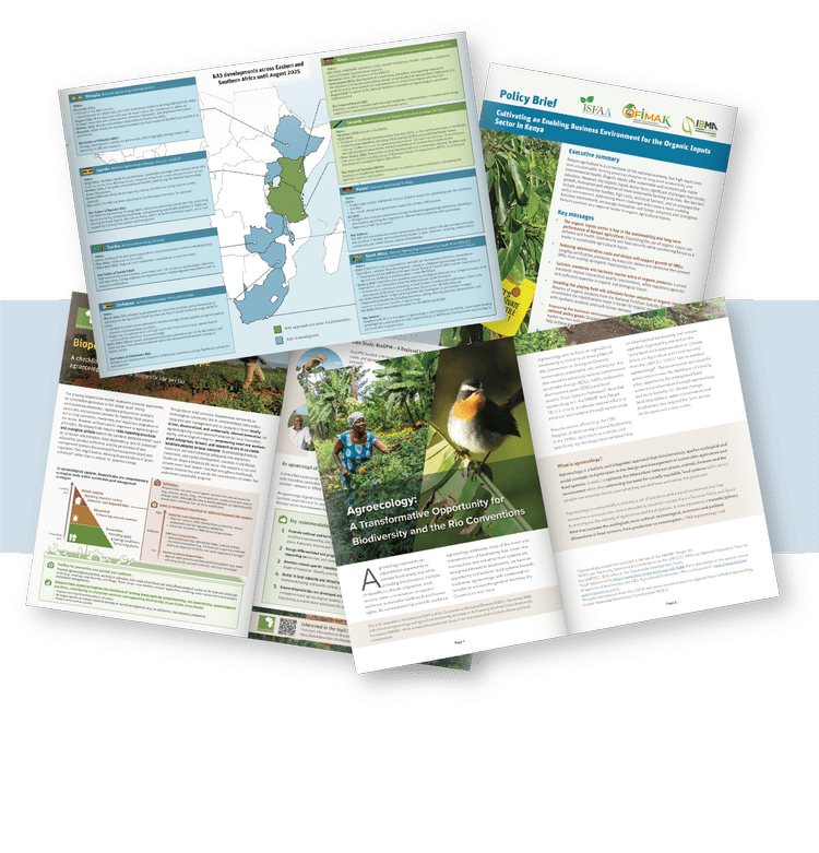 Science Graphic Design | Create Impactful Scientific Visuals Today