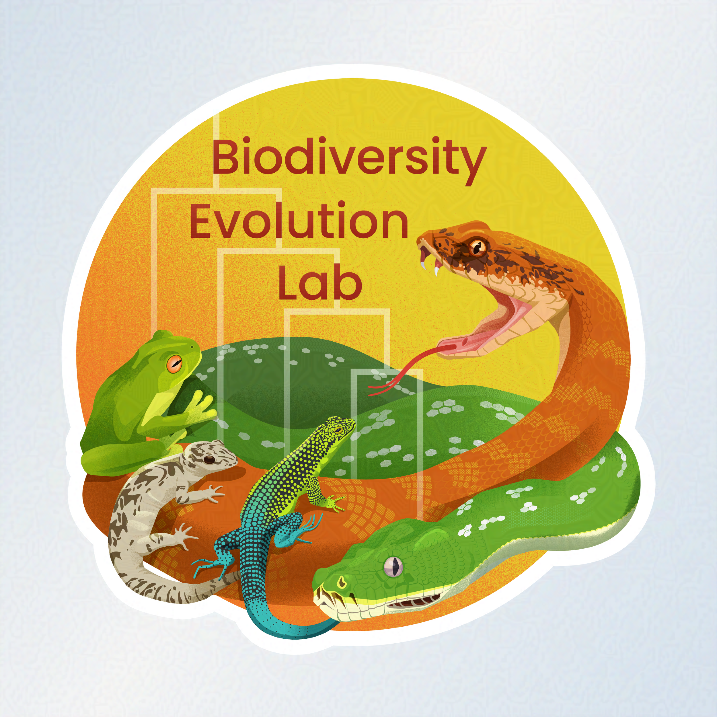 Biodiversity Evolution Lab logo. A collection of 2 snakes, 2 lizards, and a frog, all sit intertangled. They are connected to the title font by a phylogeny. 